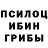 Галлюциногенные грибы прущие грибы Alexander Albanov