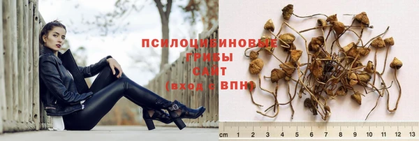 ПСИЛОЦИБИНОВЫЕ ГРИБЫ Алексеевка