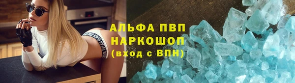 стафф Арсеньев