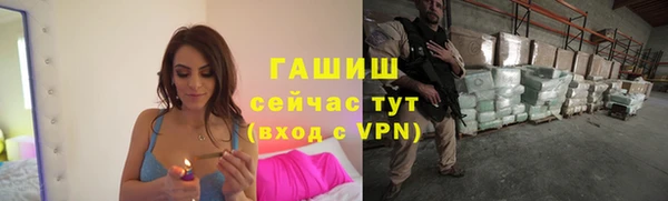 стафф Арсеньев