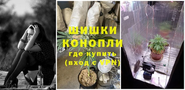 круглые Аркадак