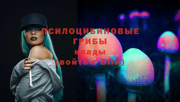 стафф Арсеньев
