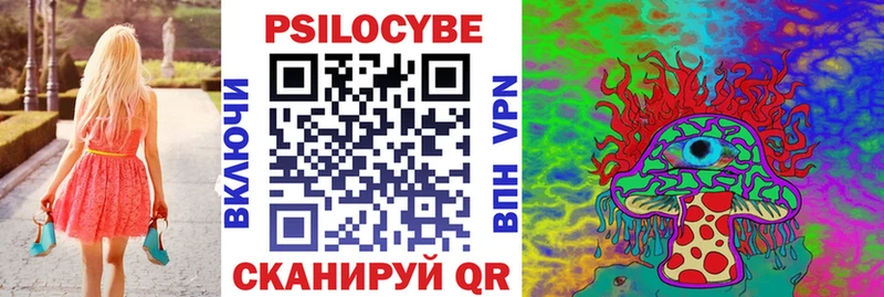 закладки  Аркадак  Псилоцибиновые грибы прущие грибы 